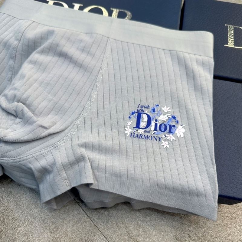 Christian Dior Underwear